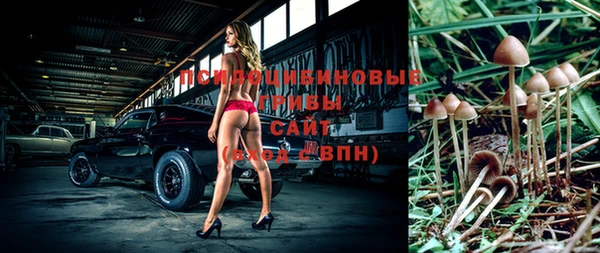 молекула духа Абаза