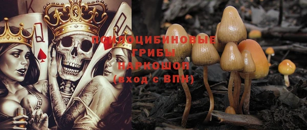спиды Абинск