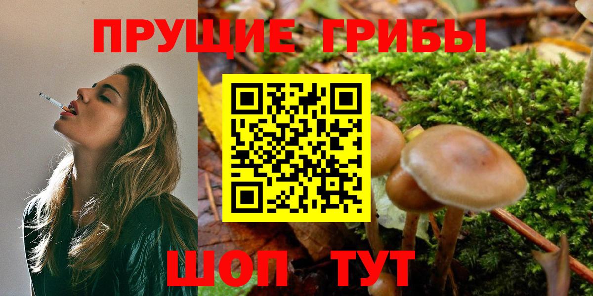 Псилоцибиновые грибы Magic Shrooms Серпухов
